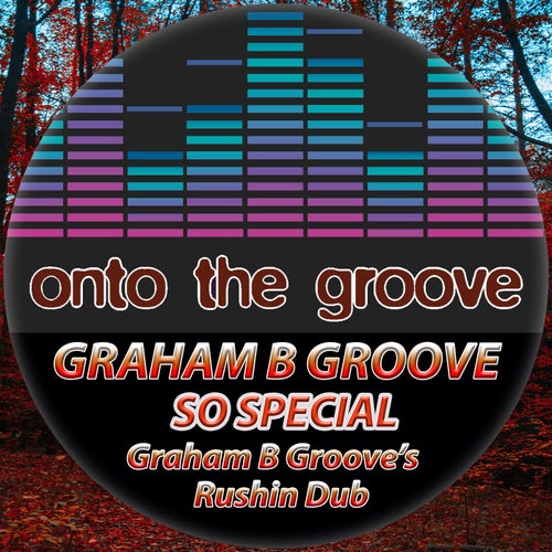 Graham B Groove - So Special (Graham B Groove's Rushin Dub) [OTG034]